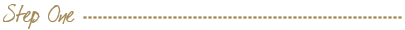 Professional Website Designer
